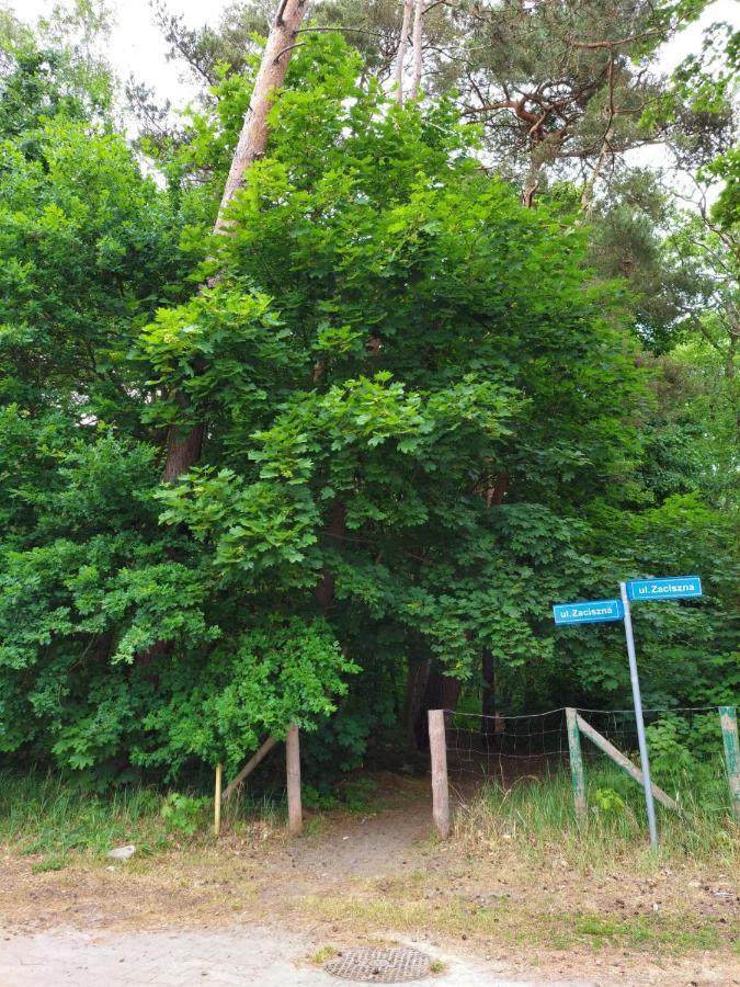 Apartament Alicja 미에드지보드지 외부 사진